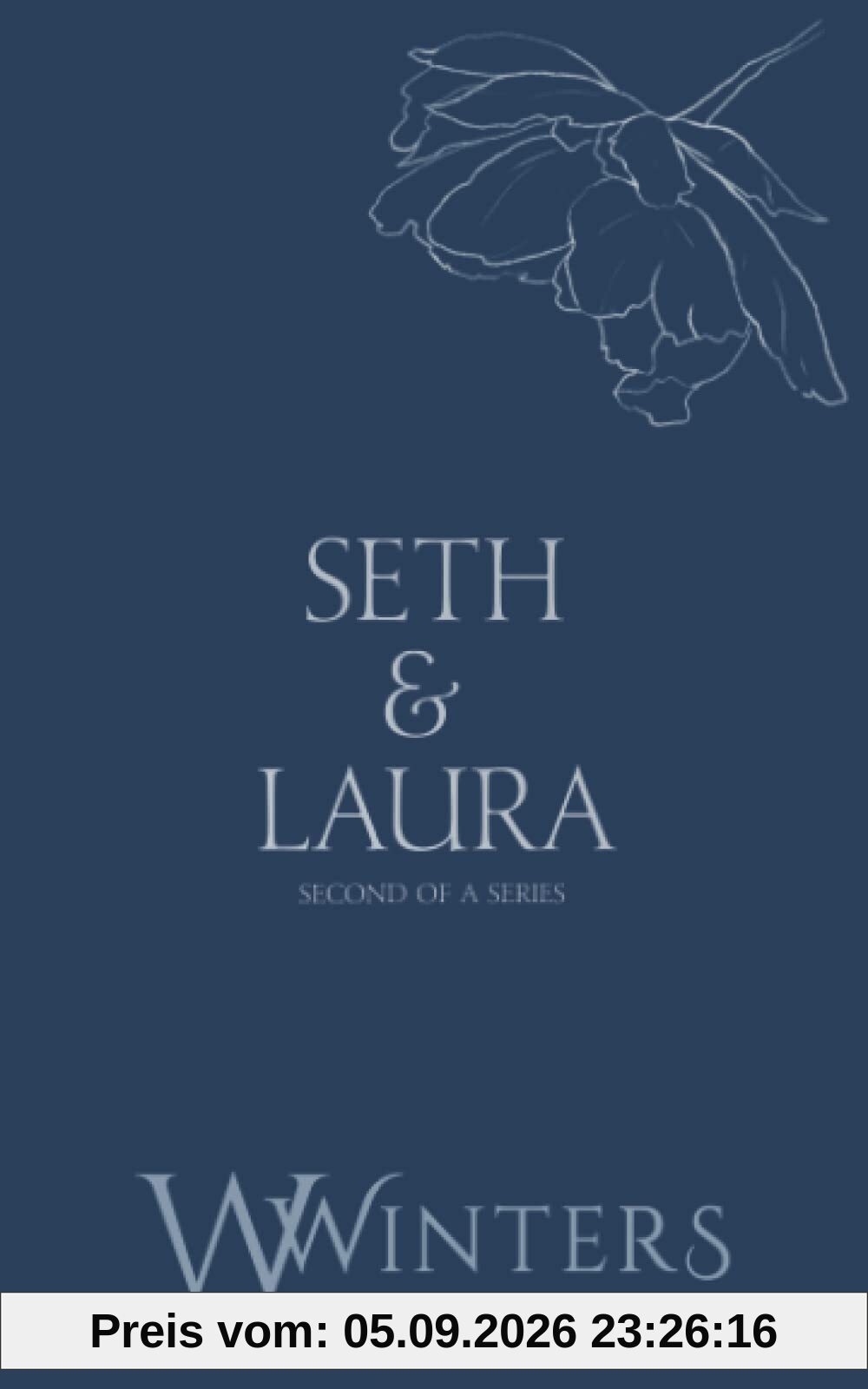 Seth & Laura: Desperate to Touch (Discreet Series, Band 39)