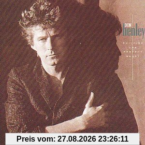 Don Henley Building The Perfect Beast