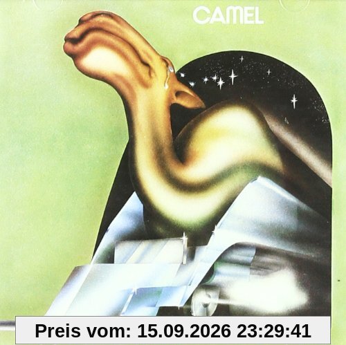 Camel