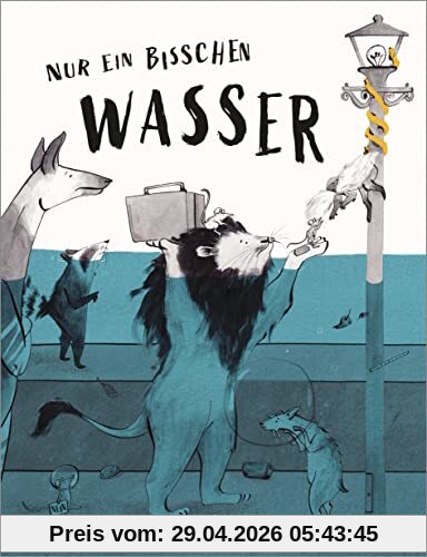 Nur ein bisschen Wasser: Vierfarbiges Bilderbuch mit Ausklappseite