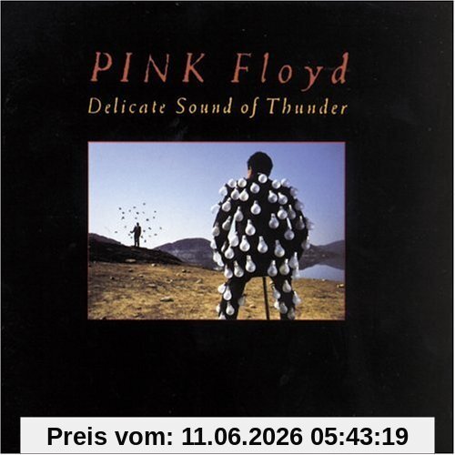 Delicate Sound of Thunder