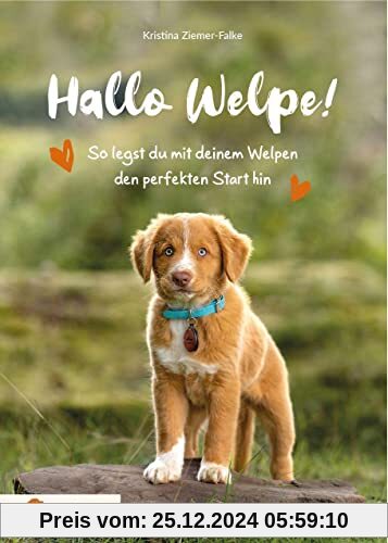 Hallo Welpe!: So legst du mit deinem Welpen den perfekten Start hin