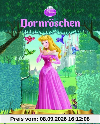 Disney: Dornröschen mit Kippbild: Buch zum Film