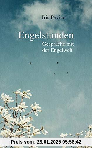 Engelstunden: Gespräche mit der Engelwelt