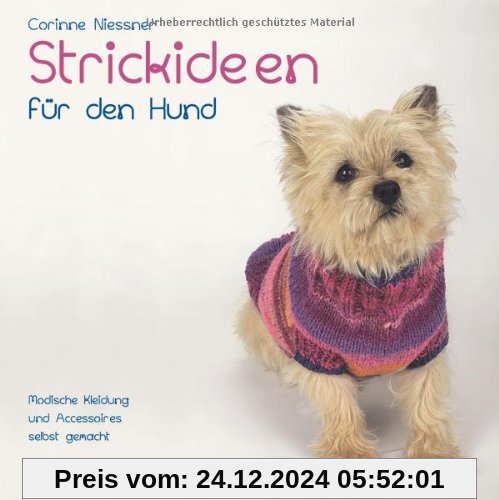 Strickideen für den Hund: Modische Kleidung und Accessoires selbst gemacht