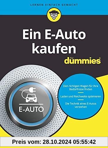 Ein E-Auto kaufen für Dummies