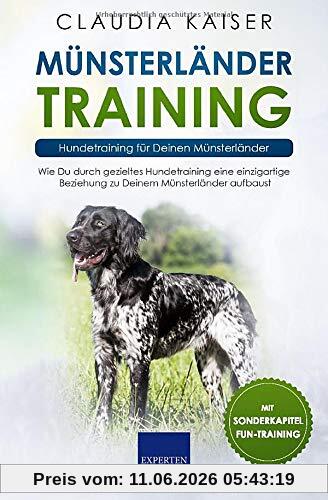 Münsterländer Training – Hundetraining für Deinen Münsterländer: Wie Du durch gezieltes Hundetraining eine einzigartige Beziehung zu Deinem Münsterländer aufbaust