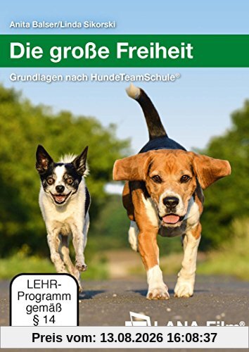 Die große Freiheit: Grundlagen nach HundeTeamSchule®