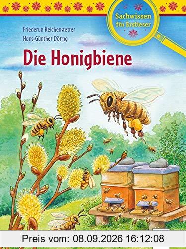Die Honigbiene: Sachwissen für Erstleser (Der Bücherbär. Sachwissen für Erstleser)