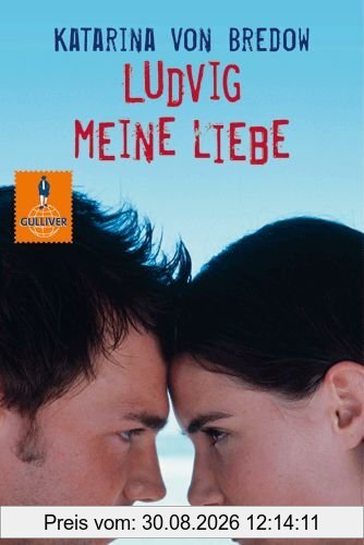 Ludvig meine Liebe: Roman (Gulliver)