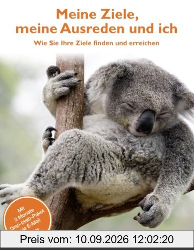Meine Ziele, meine Ausreden und ich: Wie Sie Ihre Ziele finden und erreichen