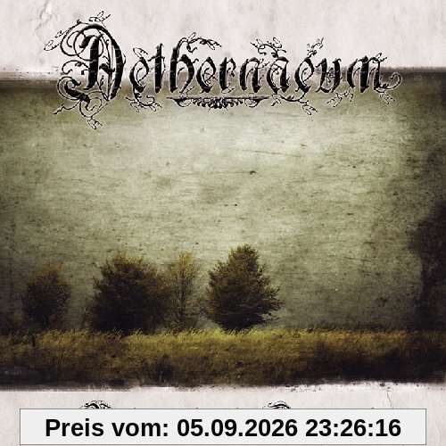 Wanderungen Durch Den Dämmerwald