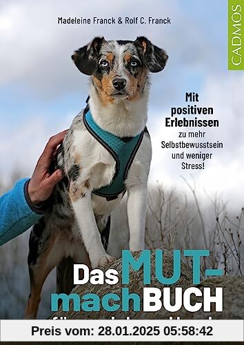 Das Mutmachbuch für unsichere Hunde: Mit positiven Erlebnissen zu mehr Selbstbewusstsein und weniger Stress