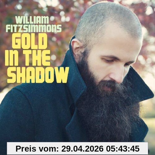 William Fitzsimmons Gold In The Shadows