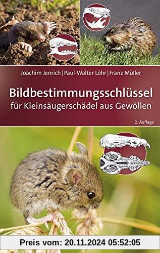 Bildbestimmungsschlüssel für Kleinsäugerschädel aus Gewöllen