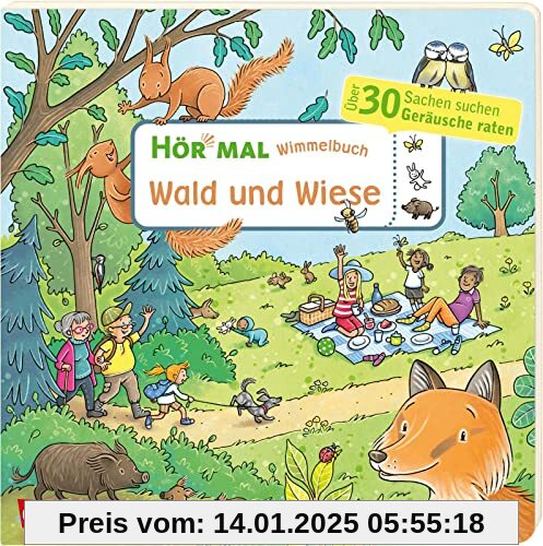 Hör mal (Soundbuch): Wimmelbuch: Wald und Wiese: Sachen suchen und Geräusche raten