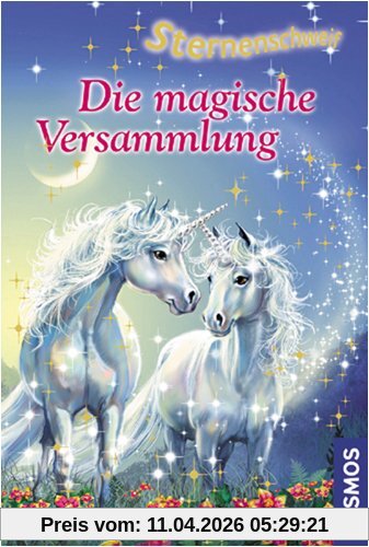Sternenschweif, 17, Die magische Versammlung