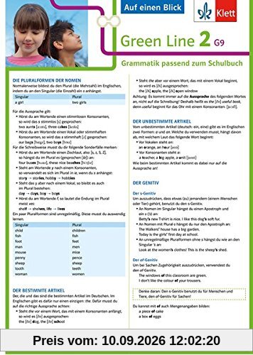 Klett Green Line 2 G9 Klasse 6 - Auf einen Blick: Grammatik passend zum Schulbuch