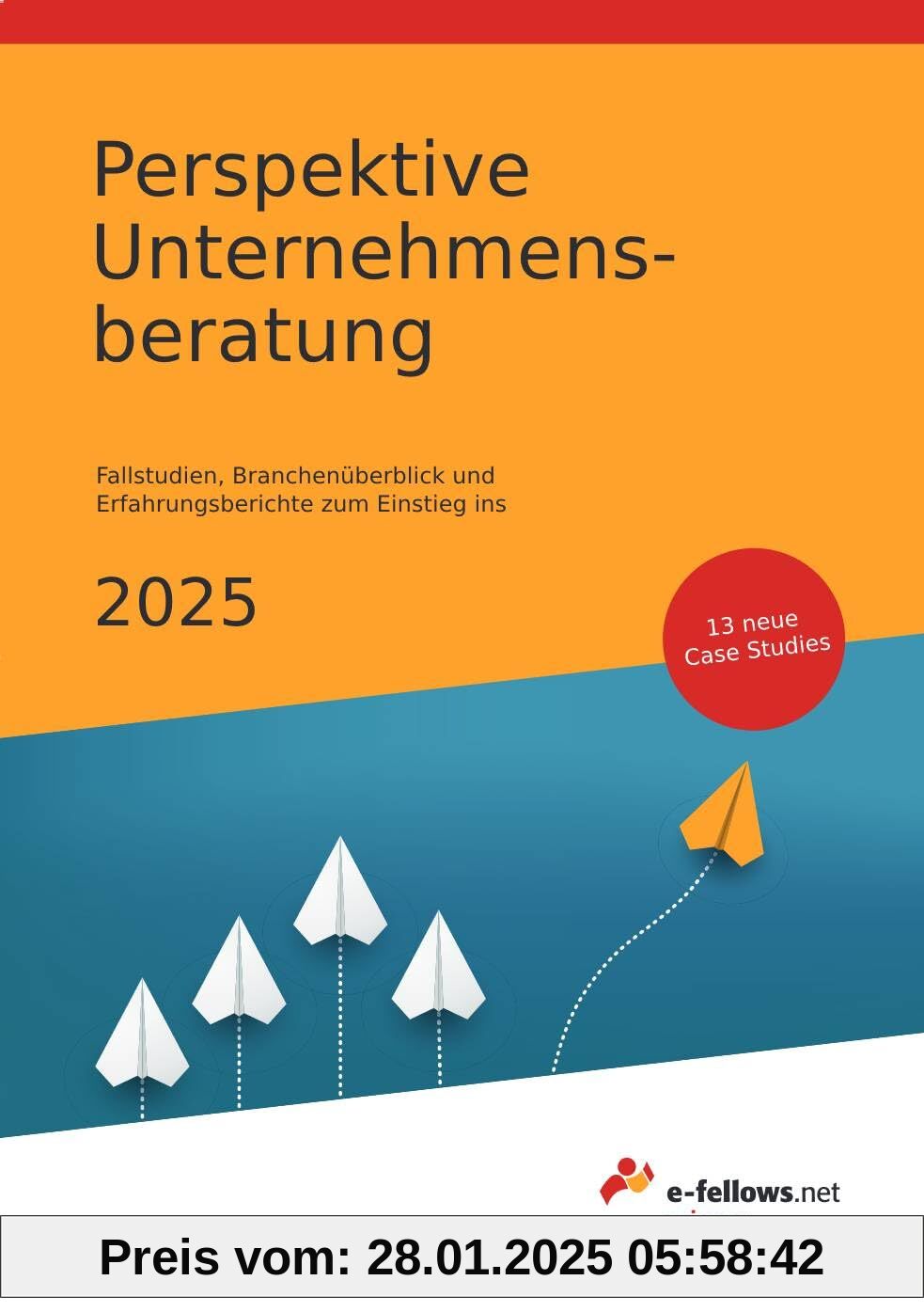 Perspektive Unternehmensberatung 2025: Case Studies, Branchenüberblick und Erfahrungsberichte zum Einstieg ins Consultin