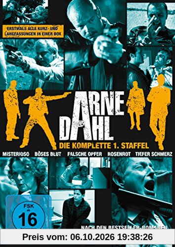 Arne Dahl - Die komplette Staffel 1 [11 DVDs]