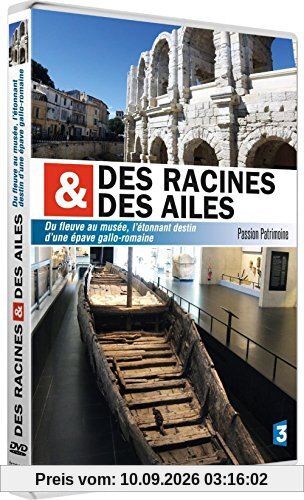 Des racines et des ailes : du fleuve au musée, l'étonnant destin d'une épave gallo-romaine [FR Import]