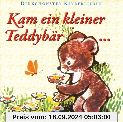 Kam Ein Kleiner Teddybär...