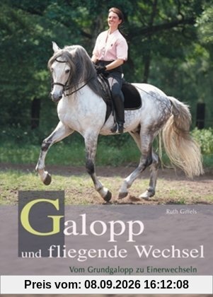 Galopp und fliegende Wechsel: Vom Grundgalopp zum Einerwechsel