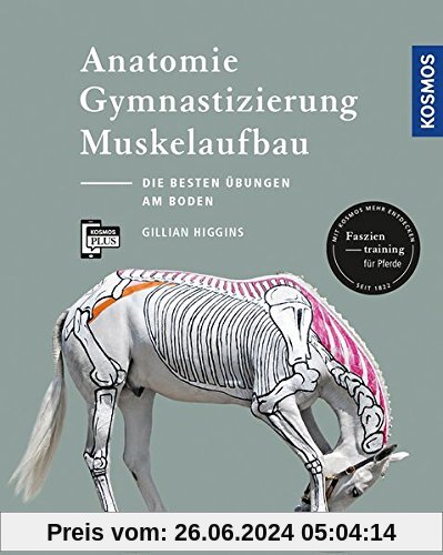 Anatomie, Gymnastizierung, Muskelaufbau: Die besten Übungen für Pferde am Boden