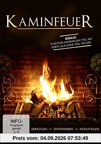 Kaminfeuer 2013