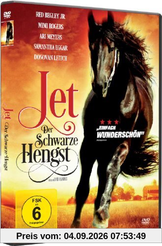 Jet, der schwarze Hengst