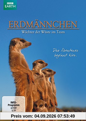 Erdmännchen - Wächter der Wüste im Team