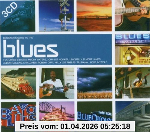 Various Beginner'S Guide To Blues