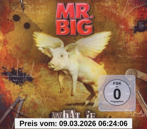 Mr. Big What If...