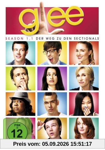 Glee - Season 1.1 [4 DVDs]