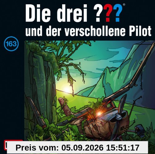 163/und der Verschollene Pilot