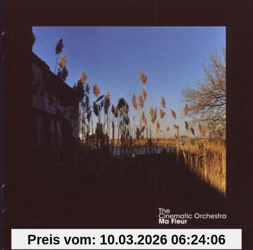 the Cinematic Orchestra Ma Fleur