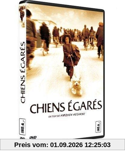 Chiens égarés [FR Import]