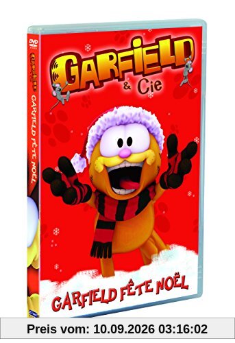 Garfield : garfield fête noël [FR Import]