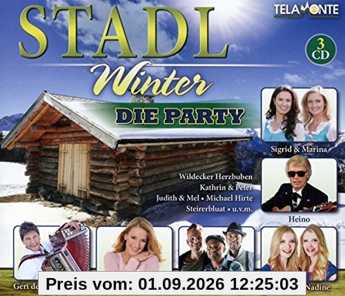 Stadl Winter,Die Party