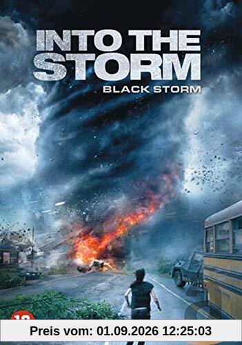 Into the storm