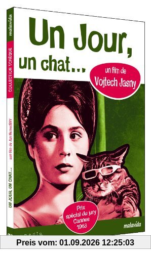 Un jour, un chat