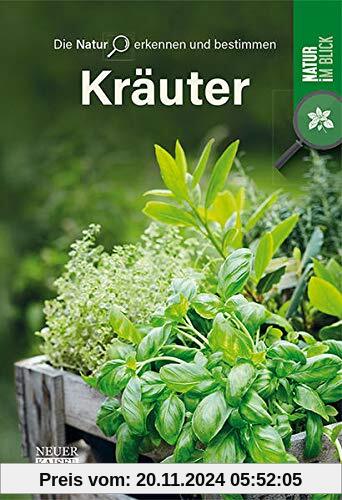 Kräuter - Die Natur erkennen und bestimmen: Natur im Blick