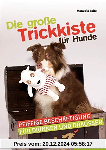 Die große Trickkiste für Hunde: Pfiffige Beschäftigung für drinnen und draußen: Pfiffige Beschftigung fr drinnen und dra