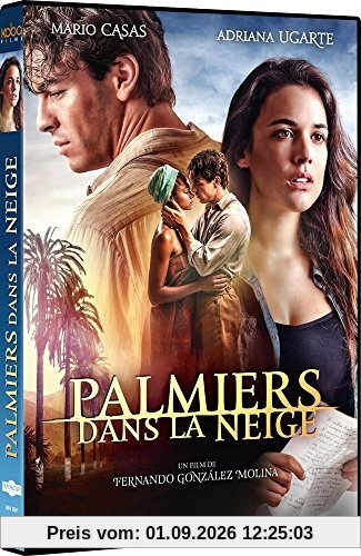 Palmiers dans la neige