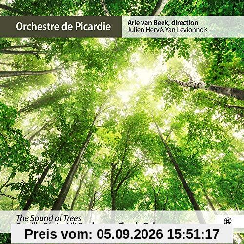 The Sound of Trees