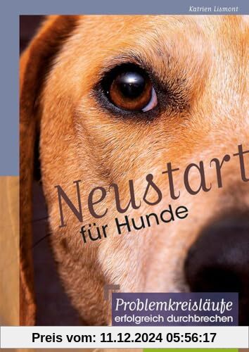 Neustart für Hunde: Problemkreisläufe erfolgreich durchbrechen