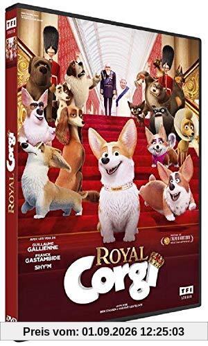 Royal Corgi