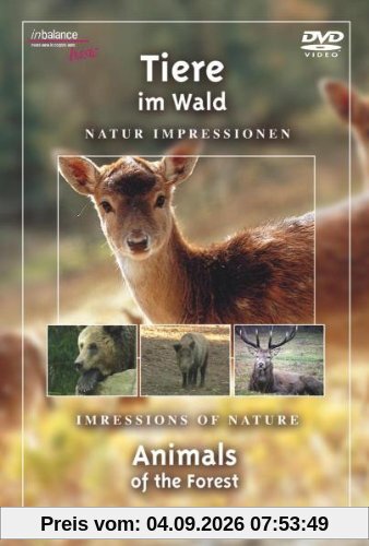 Tiere im Wald