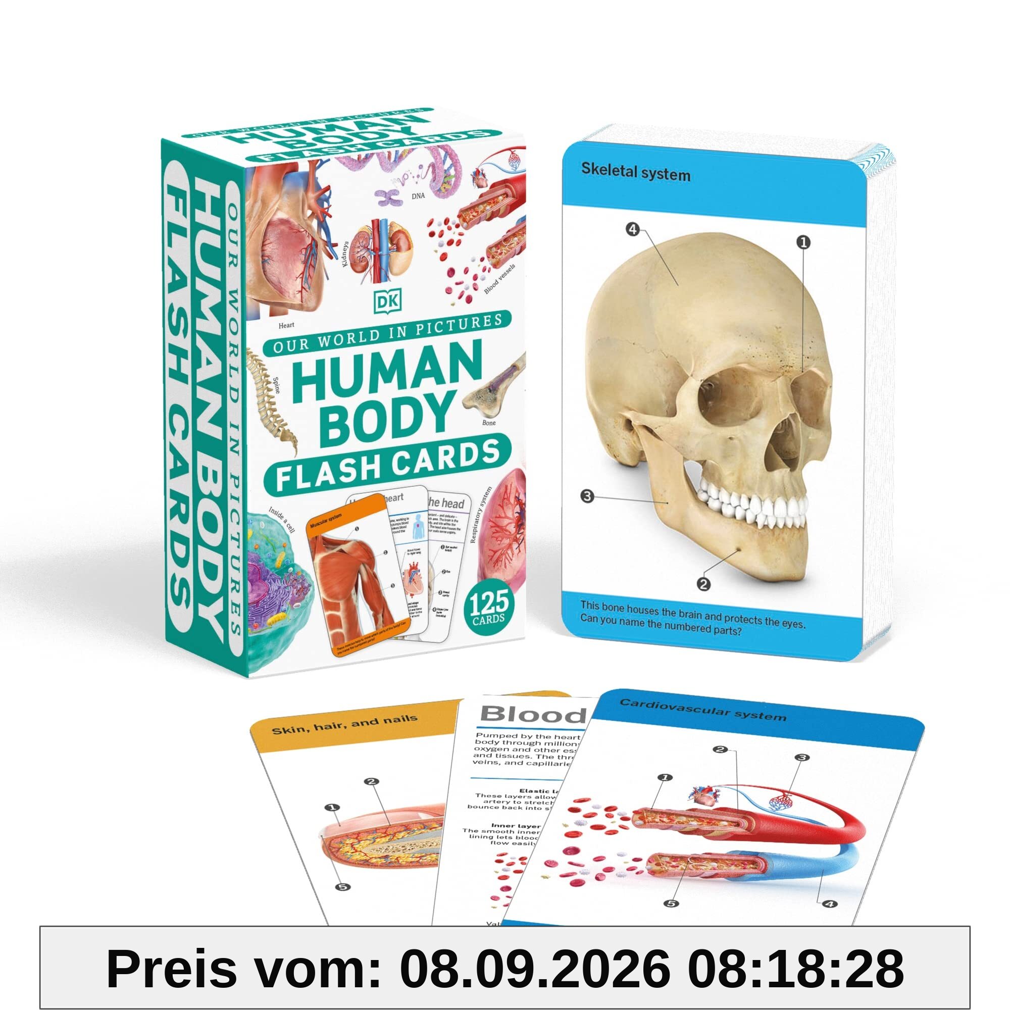 Our World in Pictures Human Body Flash Cards (DK Our World in Pictures)