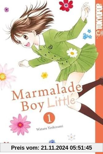 Marmalade Boy Little 01